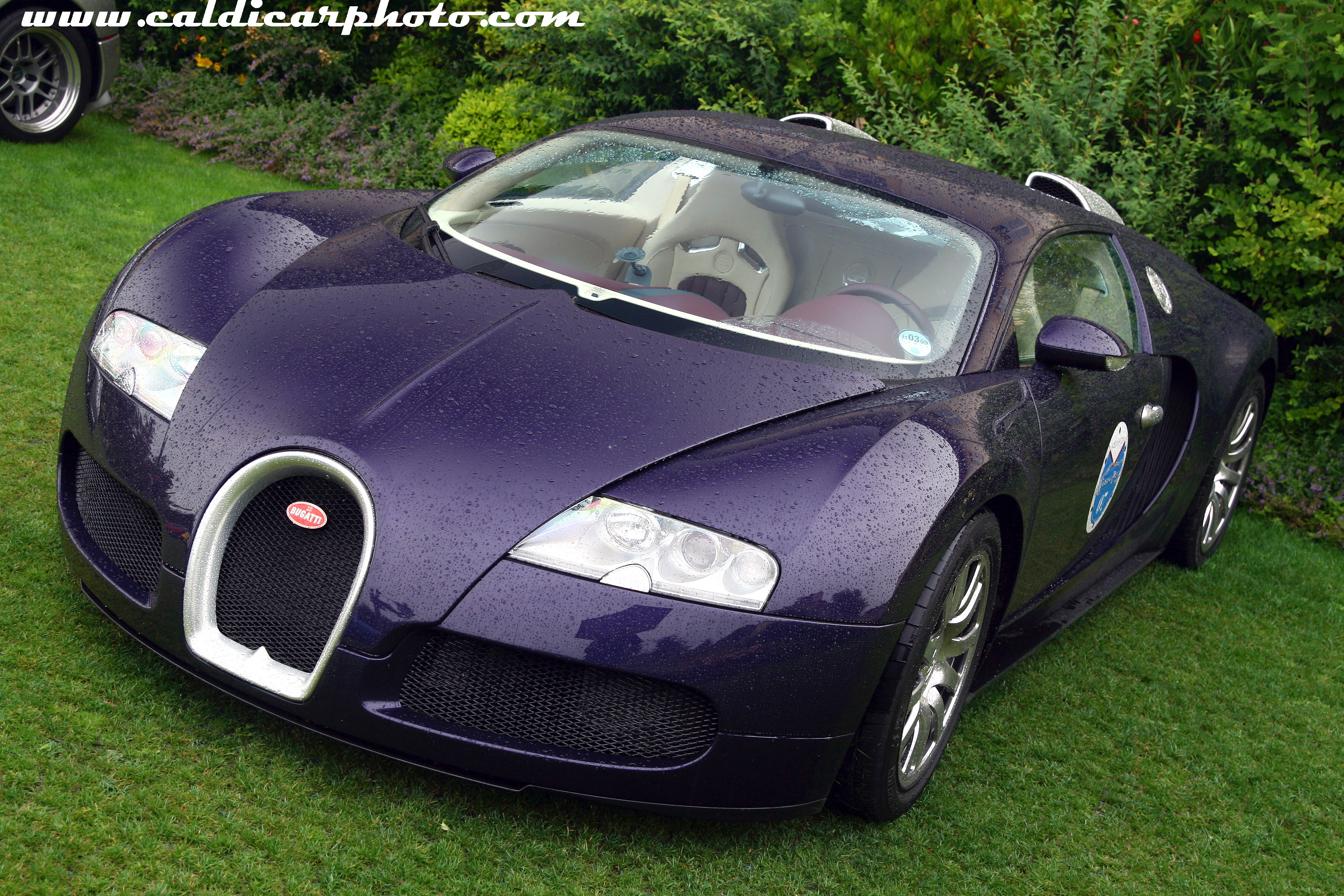 Bugatti Purple